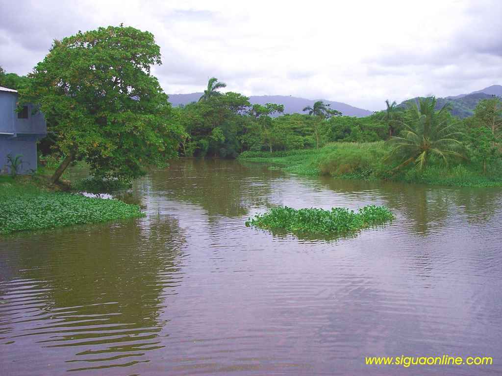 Foto de Tela, Atlántida, Honduras
