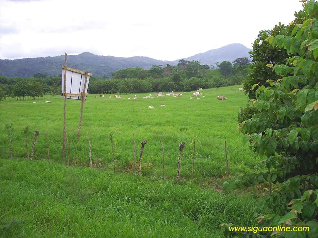 Foto de Tela, Atlántida, Honduras