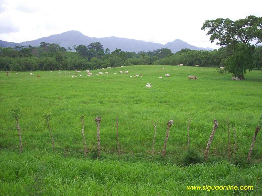 Foto de Tela, Atlántida, Honduras