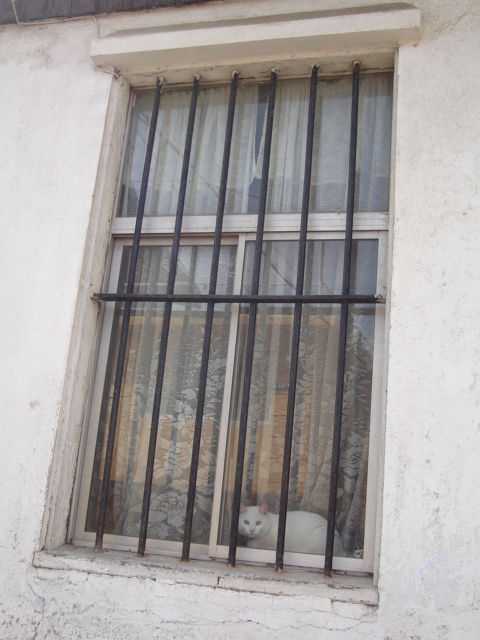 Foto de VALPARAISO, Chile