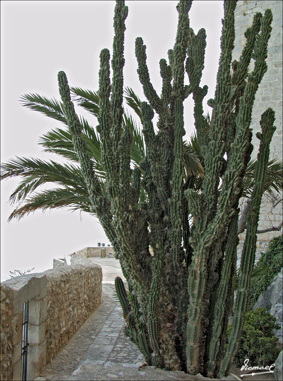 Foto de Peñíscola (Castelló), España