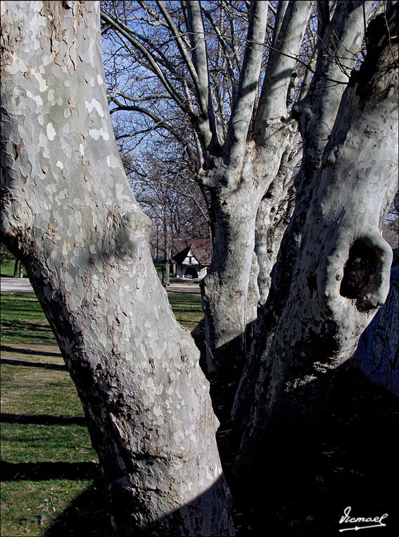 Foto de Zaragoza (Aragón), España
