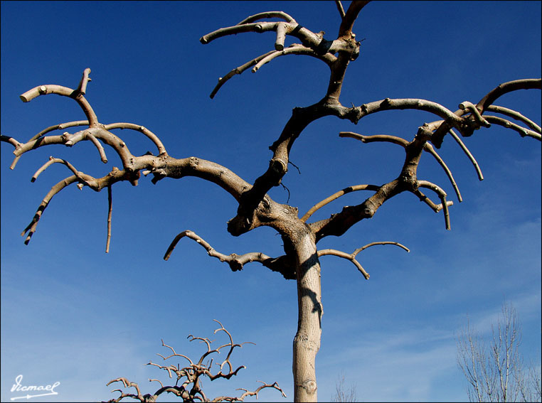 Foto de Zaragoza (Aragón), España