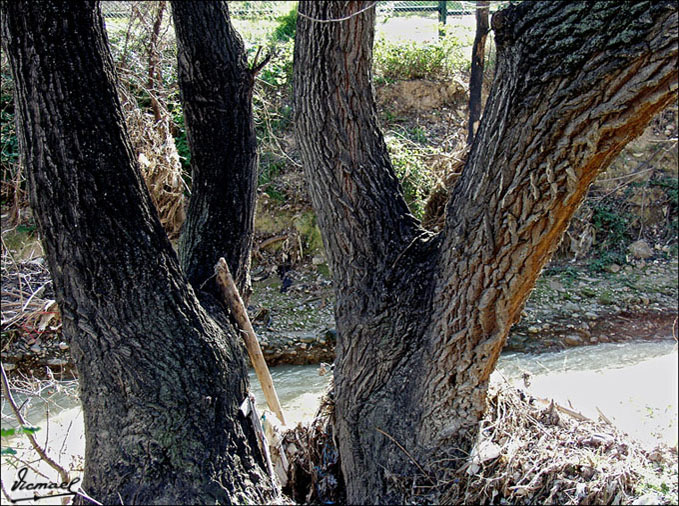 Foto de Zaragoza (Aragón), España