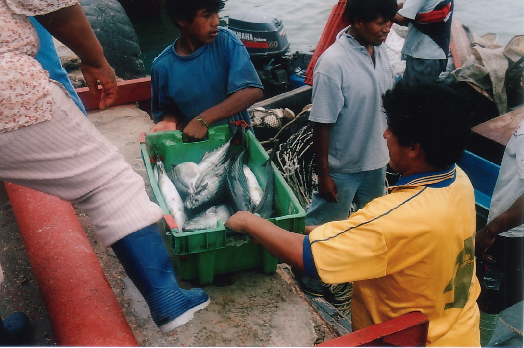 Foto de Pisco, Perú