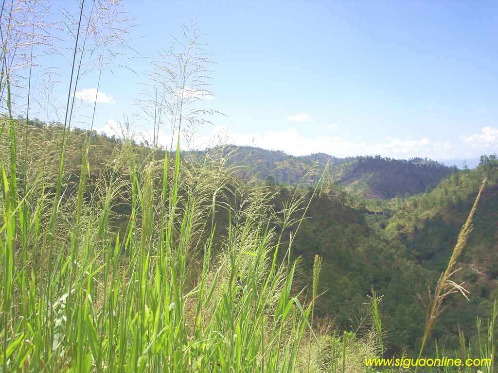 Foto de Villa de San Antonio, Honduras