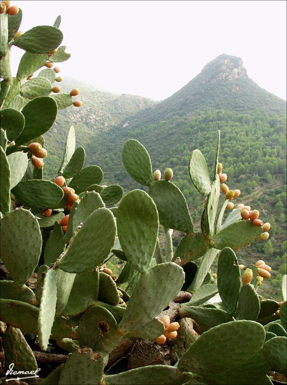 Foto de Vilafamés (Castelló), España