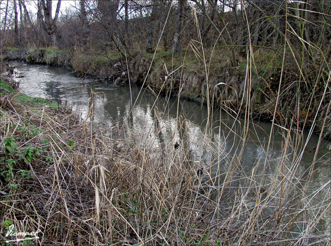 Foto de Arcos de Jalón (Soria), España