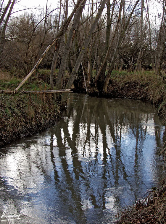 Foto de Arcos de Jalón (Soria), España