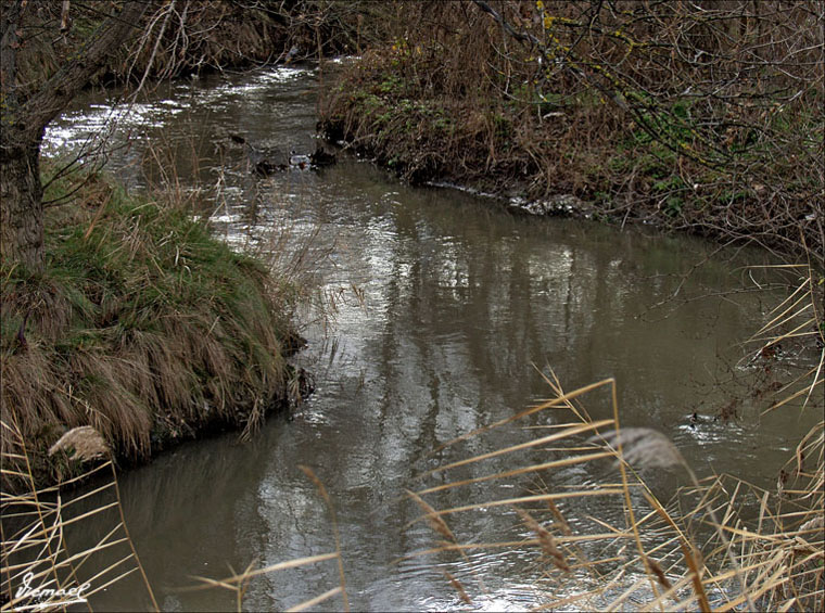 Foto de Arcos de Jalón (Soria), España