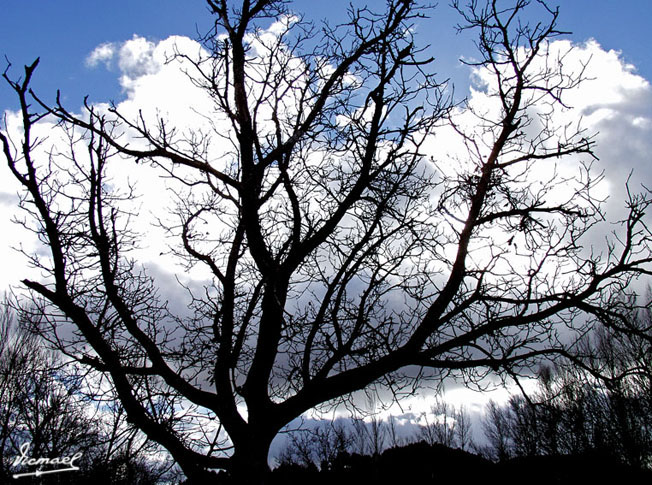 Foto de Arcos de Jalón (Soria), España