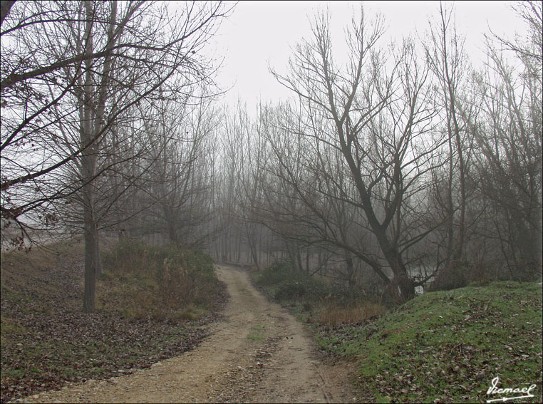 Foto de Arcos de Jalón (Soria), España