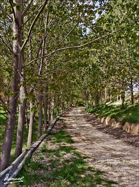 Foto de Arcos de Jalón (Soria), España