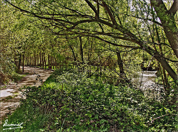 Foto de Arcos de Jalón (Soria), España