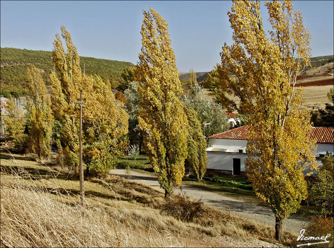 Foto de Esteras de Medinaceli (Soria), España