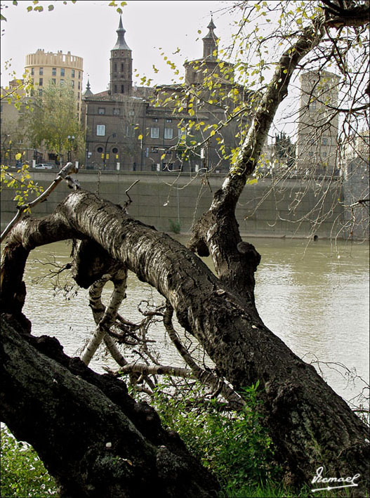 Foto de Zaragoza (Aragón), España