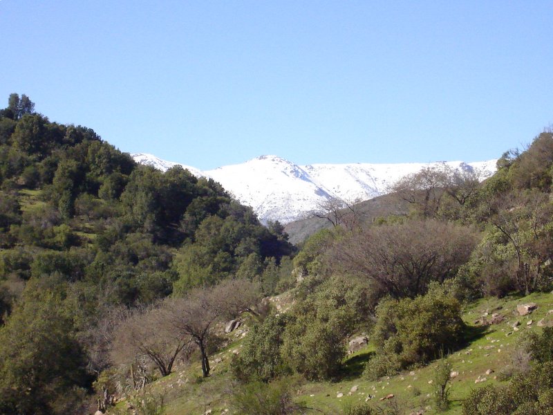 Foto de QUILPUE, Chile
