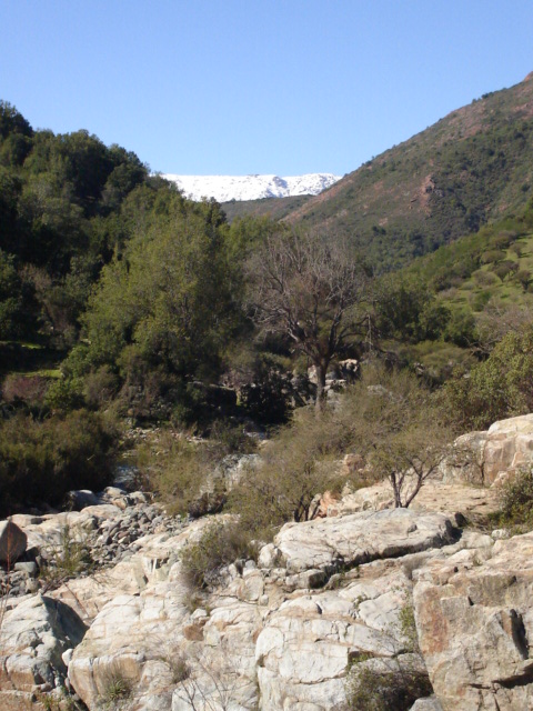 Foto de QUILPUE, Chile