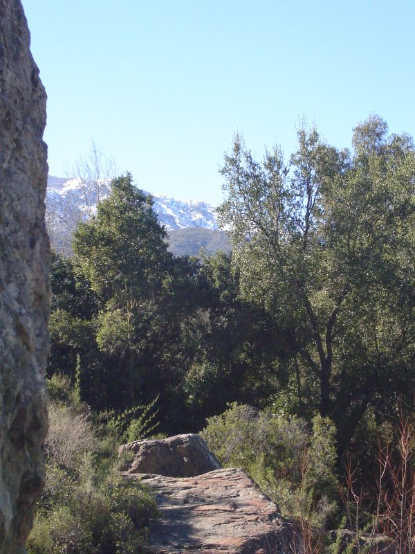 Foto de QUILPUE, Chile