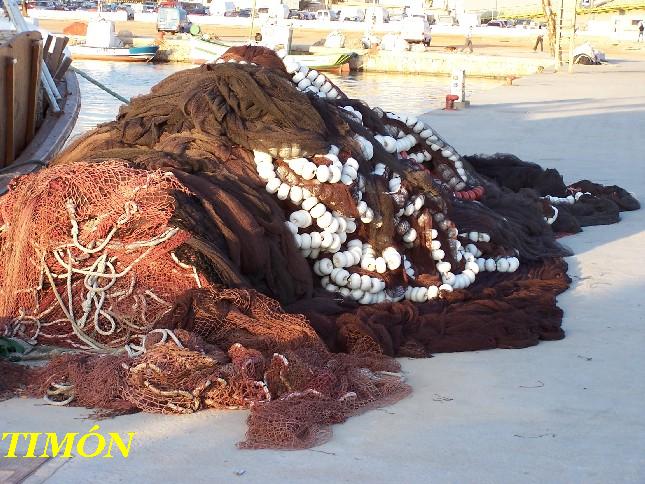 Foto de Torrevieja (Alicante), España