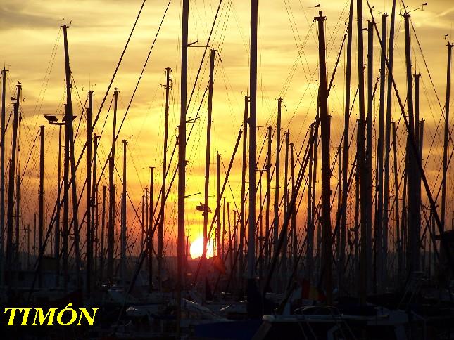 Foto de Torrevieja (Alicante), España