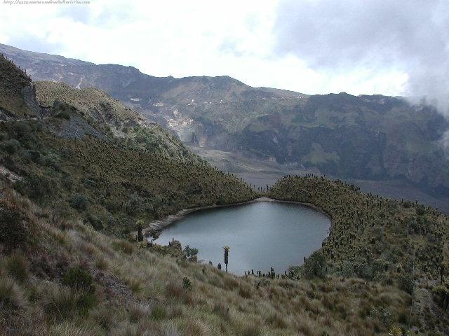 Foto de Santa Rosa de Cabal, Colombia