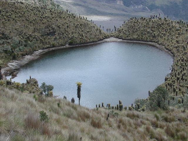 Foto de Santa Rosa de Cabal, Colombia