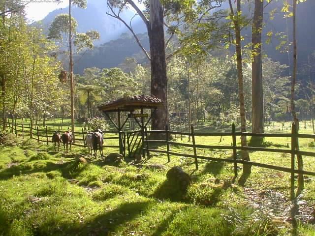 Foto de Santa Rosa de Cabal, Colombia