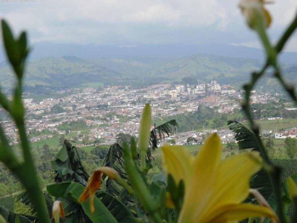 Foto de Santa Rosa de Cabal, Colombia