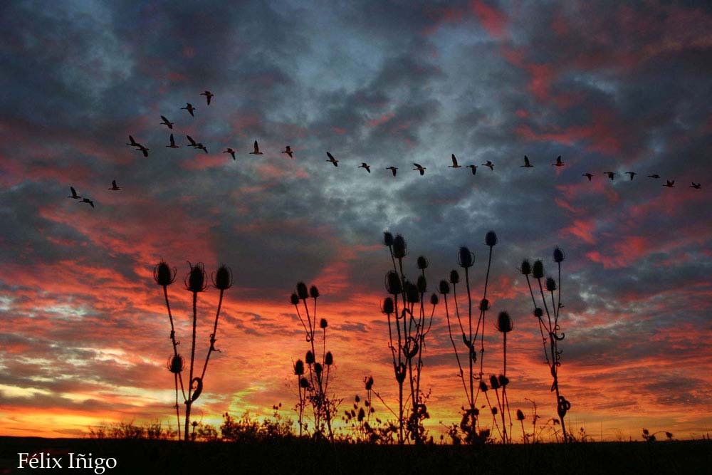 Foto de Fuentes de Nava (Palencia), España