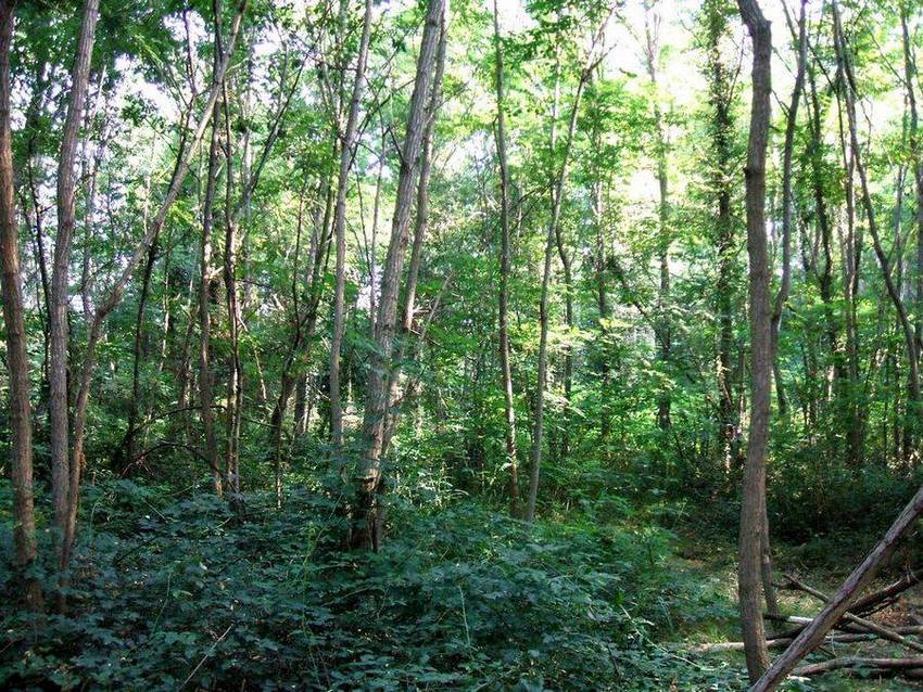 Foto de Guarnizo (Cantabria), España