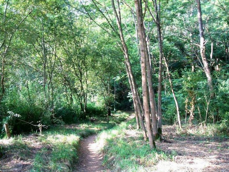 Foto de Guarnizo (Cantabria), España