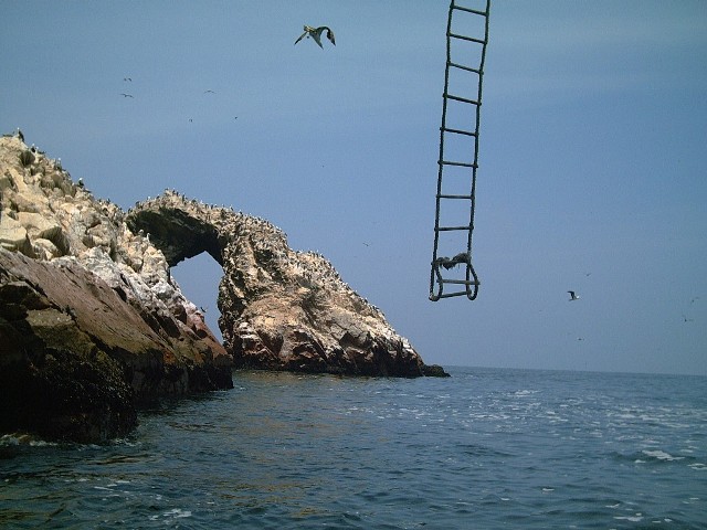 Foto de Paracas Ica Perú, Perú