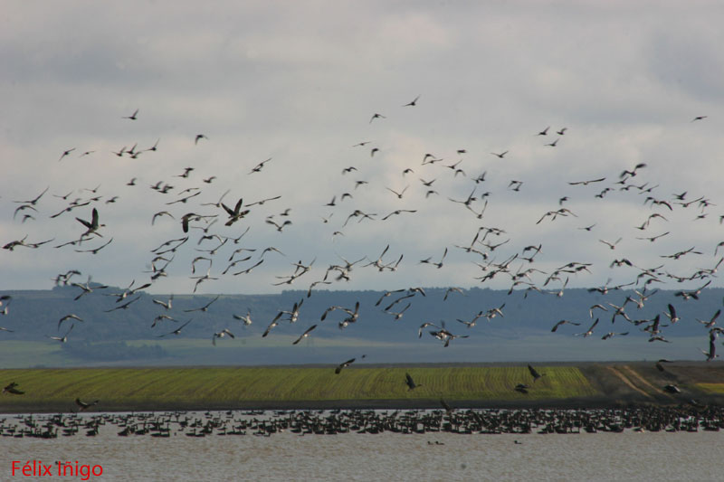 Foto de Boada de Campos (Palencia), España