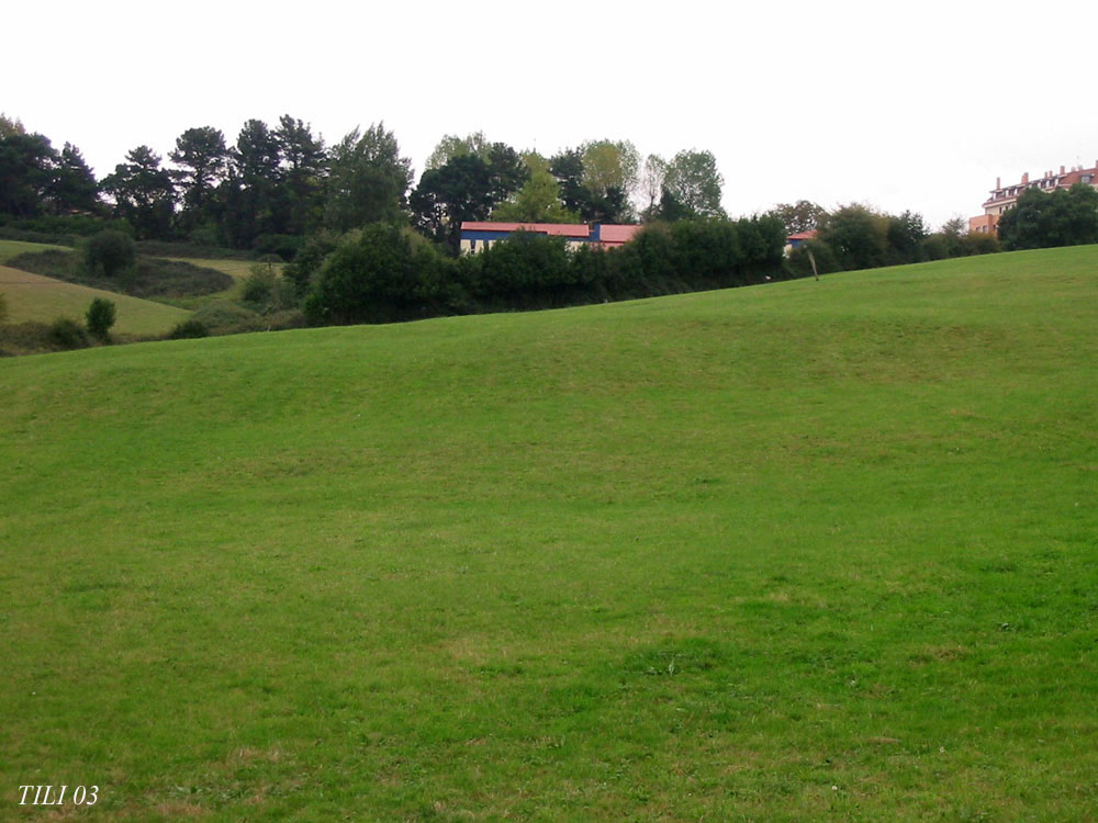 Foto de Oviedo (Asturias), España