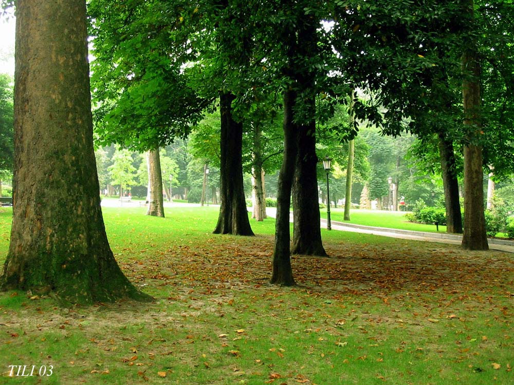 Foto de Oviedo (Asturias), España