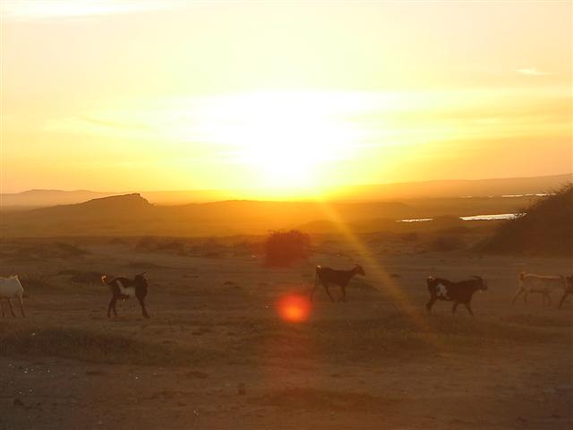 Foto de Cabo de la Vela (Guajira), Colombia
