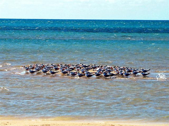 Foto de Cabo de la Vela (Guajira), Colombia