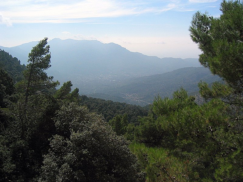 Foto de Mallorca (Illes Balears), España