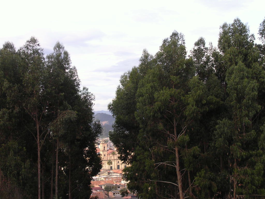 Foto de ZIPAQUIRA (Cund), Colombia