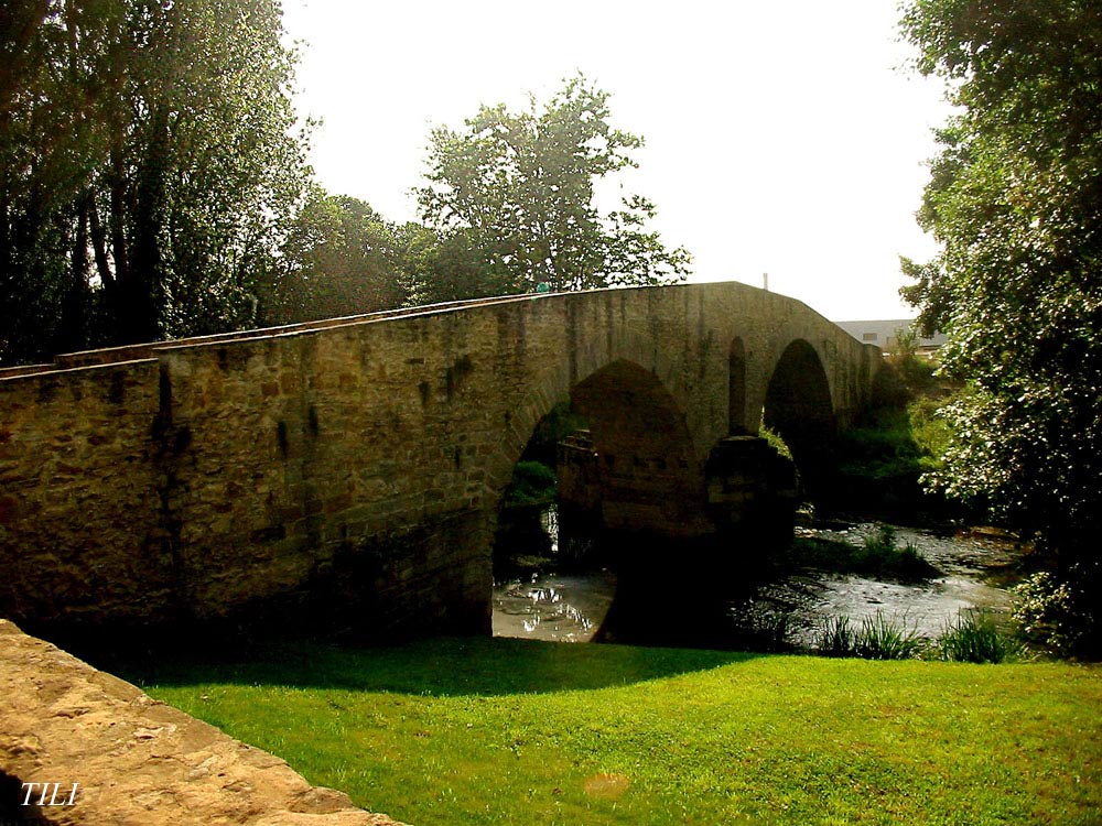 Foto de Colloto (Asturias), España