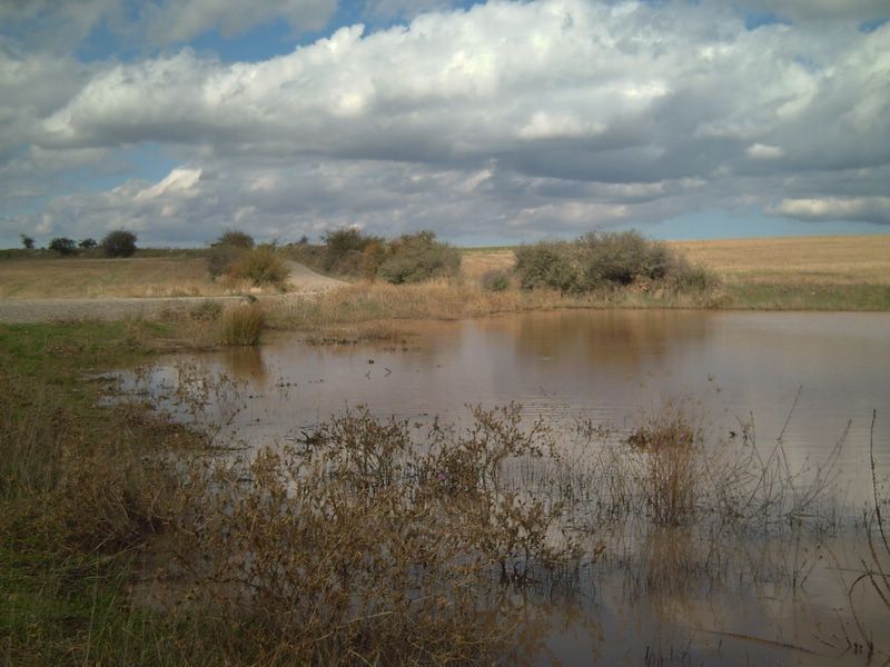 Foto de Ólvega (Soria), España