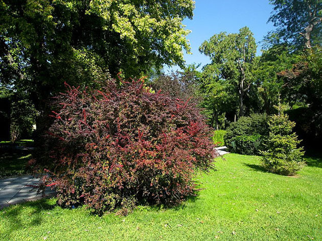 Foto de Madrid (Comunidad de Madrid), España