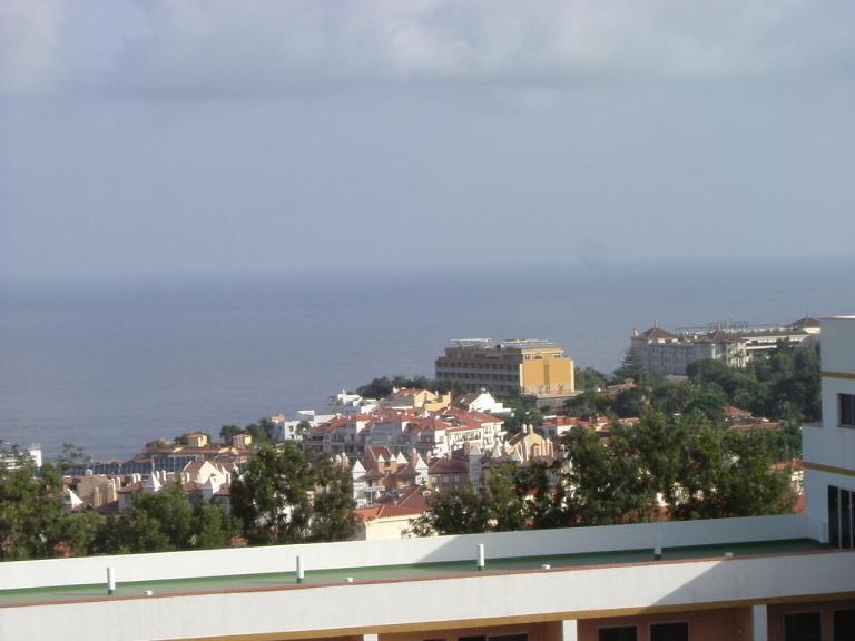 Foto de Tenerife (Santa Cruz de Tenerife), España