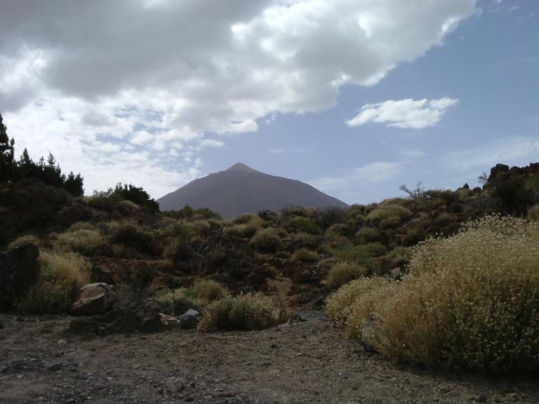 Foto de Tenerife (Santa Cruz de Tenerife), España