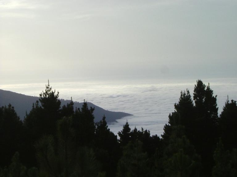 Foto de Tenerife (Santa Cruz de Tenerife), España
