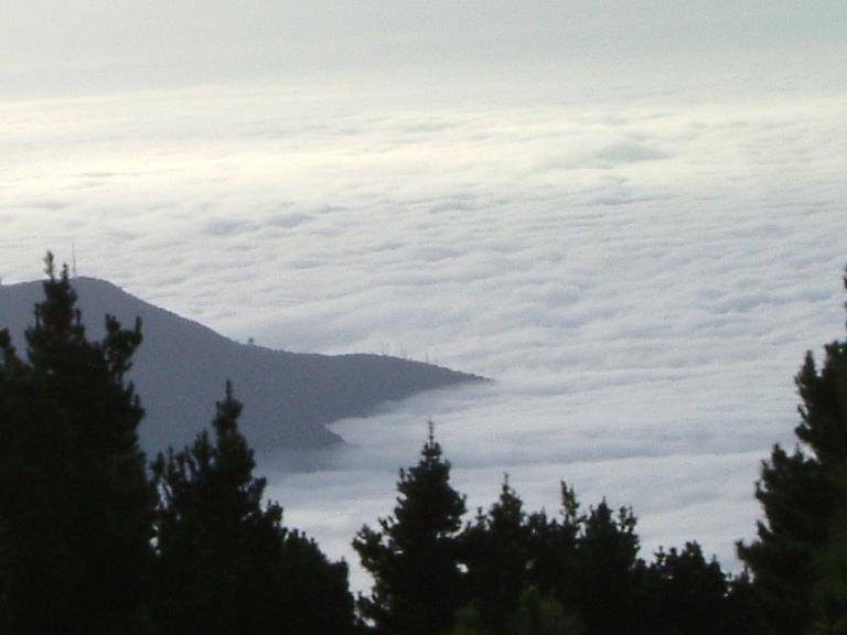 Foto de Tenerife (Santa Cruz de Tenerife), España
