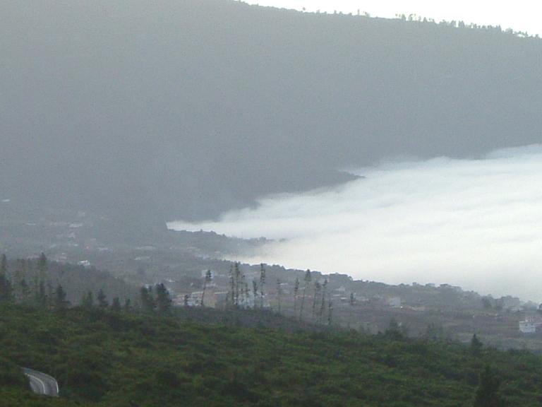 Foto de Tenerife (Santa Cruz de Tenerife), España