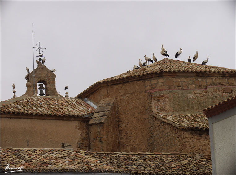 Foto de Alconchel de Ariza (Zaragoza), España