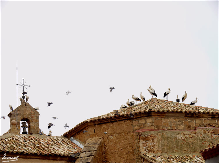 Foto de Alconchel de Ariza (Zaragoza), España